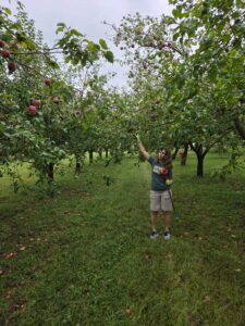 person picking apples in an orchard