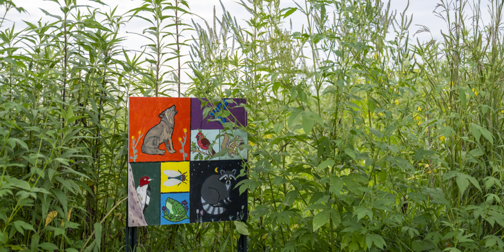 Prairie Art Exhibit 2026 a painted board in a prairie setting