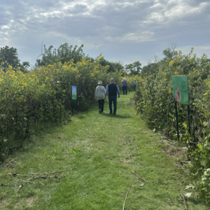 group tour walking through prairie